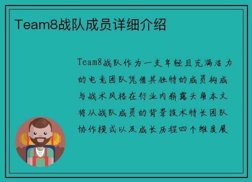 Team8战队成员详细介绍